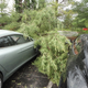 Illustration for article titled Yeah, Thats A Tree On An Aston Martin Rapide